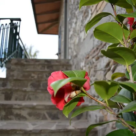 Azienda Agricola Gubbioni Amelia