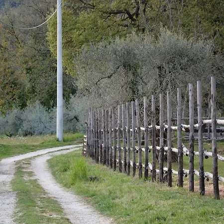 בית הארחה Azienda Agricola Gubbioni *