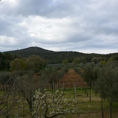 Azienda Agricola Gubbioni * אמליה
