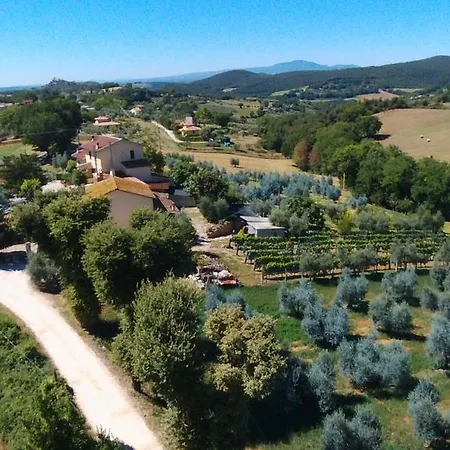 Azienda Agricola Gubbioni בית הארחה אמליה