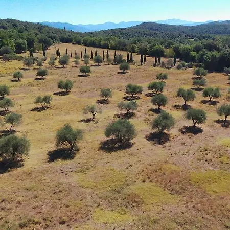 Azienda Agricola Gubbioni *